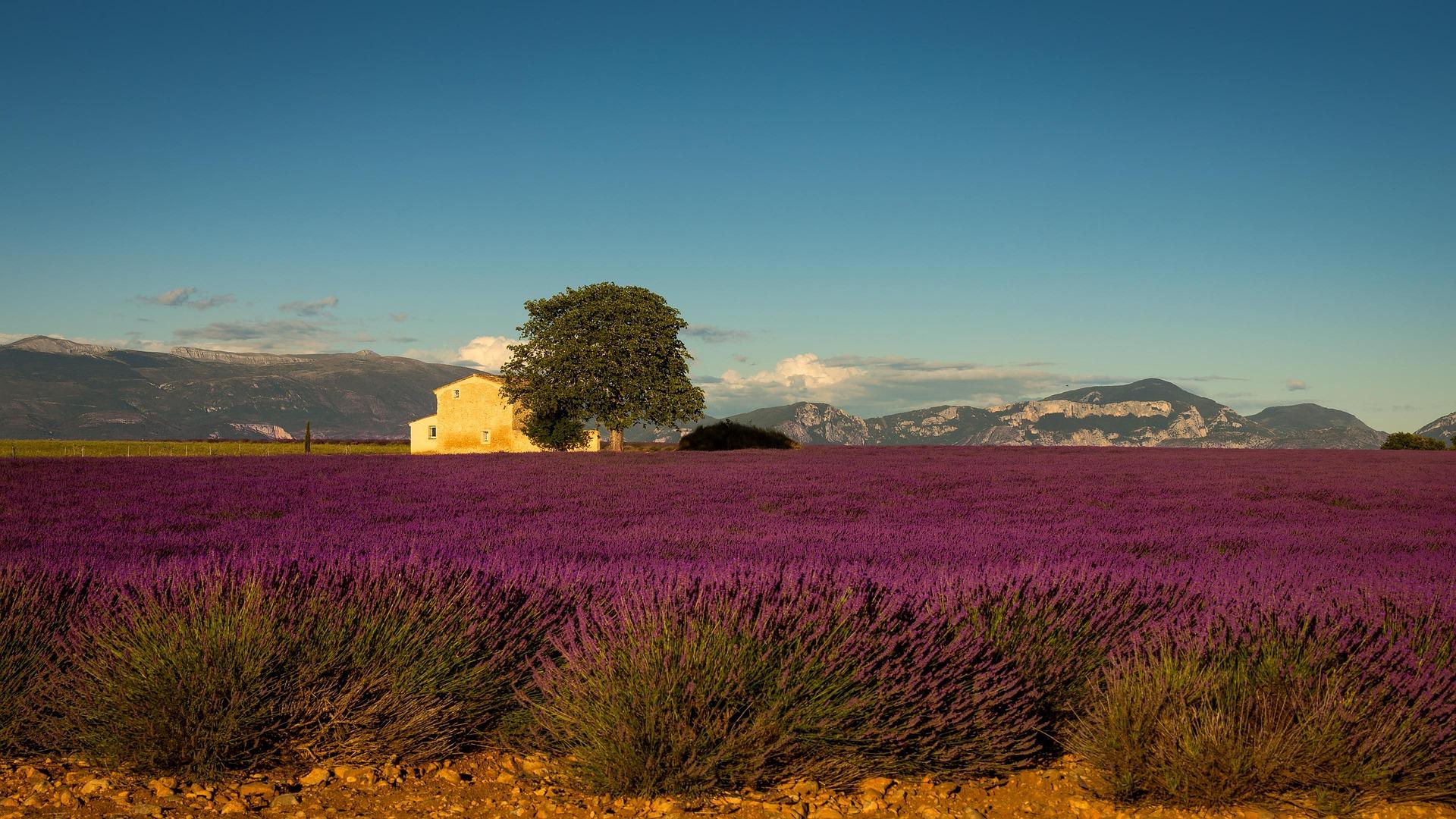 Provence